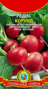 Редис_Корунд  Б/П_2_г._Плазменные семена