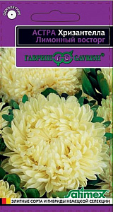 Астра_Хризантелла Лимонный Восторг_0,05_г._Гавриш
