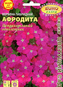 Вербена_Афродита_0_г._Аэлита Э