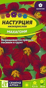 Настурция_Махагони (куст)_1_г._Семена Алтая