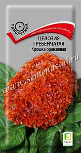 Целозия_Крошка оранжевая (гребенчатая)_0,1_г._Поиск