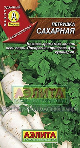 Петрушка_Сахарная (корневая)_2_г._Аэлита