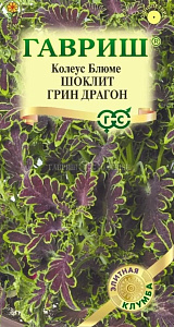 Колеус_Шоклит грин Драгон_4_шт._Гавриш