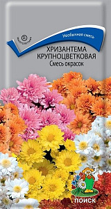 Хризантема_Крупноцветковая см_0,1_г._Поиск