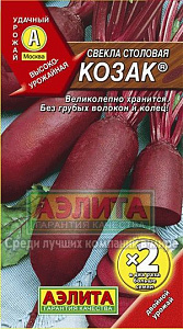 Свекла_Козак_3_г._Аэлита