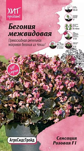 Бегония_Сенсация Розовая F1_5_шт._АгроСидсТрейд