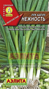 Лук_Нежность (батун многолетний)_1_г._Аэлита