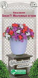 Бальзамин_Бикэн F1 Жемчужный Остров (уоллера) (Цветочное Кашпо)_5_шт._ЕВРОСЕМЕНА