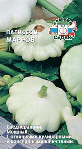 Патиссон_Марров белые_1_г._Седек