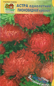 Астра_Пионовидная см_0,2_г._Наш Сад