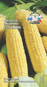 Кукуруза_Гамма F1 сахарн_4_г._Седек