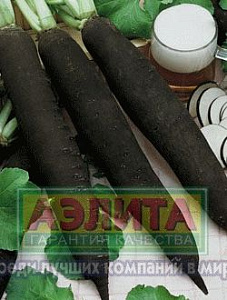 Редька_Цилиндра черная_1_г._Аэлита