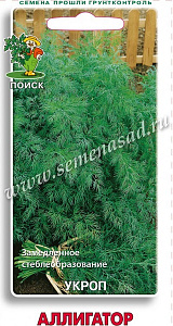 Укроп_Аллигатор_2_г._Поиск