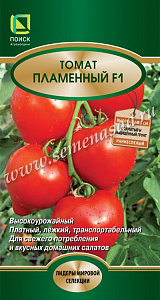 Томат_Пламенный F1_12_шт._Поиск