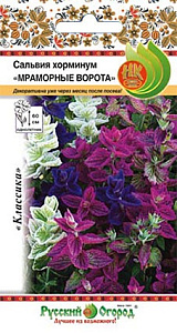 Сальвия_Мраморные ворота см (хорминовая)_30_шт._НК