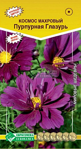 Космея_Пурпурная Глазурь (махр) (Мировые шедевры)_0,1_г._ЕВРОСЕМЕНА