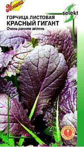 Горчица_Красный гигант_200_шт._Дом Семян С-П