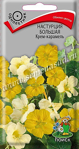 Настурция_Крем-карамель_1_г._Поиск