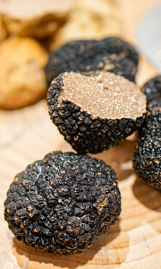 Мицелий_Трюфель Летний Черный б/ф_30_мл._Уральский Дачник