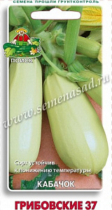 Кабачок_Грибовский_12_шт._Поиск