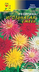 Георгин_Игольчатая см_0,2_г._Цветущий Сад