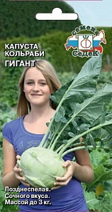 Капуста_кольраби_Гигант_0,04_г._Седек