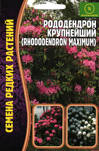 Рододендрон_Крупнейший б/ф_0,01_г._Григорьев