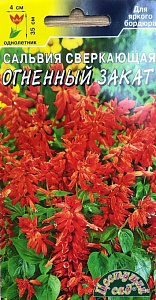 Сальвия (шалфей)_Огненный Закат (красная)_0,04_г._Цветущий Сад
