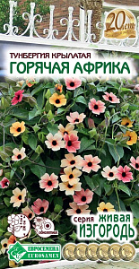 Тунбергия_Горячая Африка (Живая Изгородь)_3_шт._ЕВРОСЕМЕНА