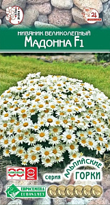 Нивяник_Мадонна F1 (Альпийская Горка)_5_шт._ЕВРОСЕМЕНА