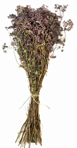 Трава-запарник ДУШИЦА XXL