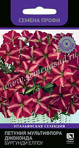 Петуния_Джоконда F1 Бургунди Еллоу (Farao)_10_шт._Поиск