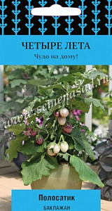 Баклажан_Полосатик (Четыре лета)_5_шт._Поиск