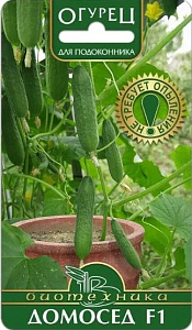 Огурец_Домосед F1_0,04_шт._Биотехника