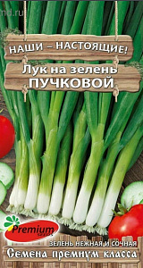 Лук_Пучковой (на зелень)_1_г._Премиум Сидс