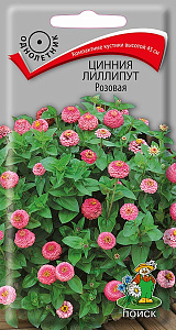 Цинния_Лилипут Розовая_0,4_г._Поиск