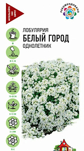 Алиссум (лобулярия)_Белый Город (морская) Уд. с._0,05_г._Гавриш