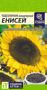 Подсолнечник_Енисей_10_г._Семена Алтая