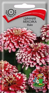 Цинния_Мексика Майя_10_шт._Поиск