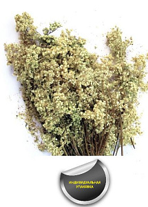 Трава-запарник ТЫСЯЧЕЛИСТНИК (в упаковке)