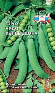 Горох_Чудо Кальведона_8_г._Седек