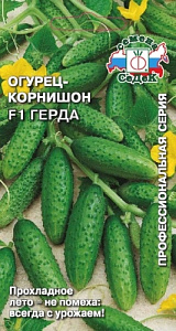 Огурец_Герда F1_0,3_г._Седек