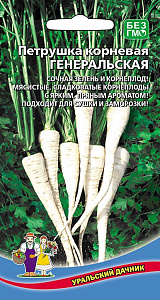 Петрушка_Генеральская (корневая)_2_г._Уральский Дачник