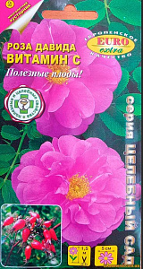 Роза_Витамин С Давида_0,1_г._Аэлита Э