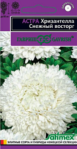 Астра_Хризантелла Снежный Восторг_0,05_г._Гавриш