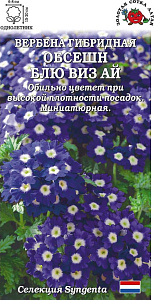 Вербена_Обсешн Блю Виз Ай_5_шт._Золотая Сотка Алтая