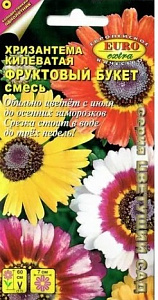 Хризантема_Фруктовый букет килеватая см_0,3_г._Аэлита Э