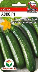 Кабачок_Ассо F1_3_шт._Сибирский Сад