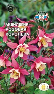 Аквилегия (водосбор)_Розовая Королева_0,1_г._Седек