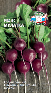 Редис_Мулатка_2_г._Седек